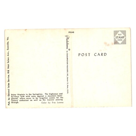 Vintage VA Scenic Pastel Scene Postcard Wild Roses Mountains Fence Landscape - Picture 2 of 2